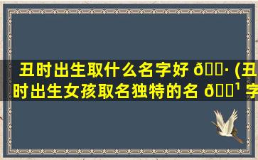 丑时出生取什么名字好 🌷 (丑时出生女孩取名独特的名 🌹 字)